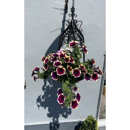 Hanging Basket - Heavy - Project 10c