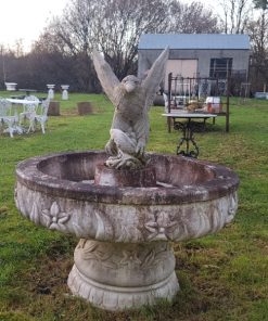 Eagle and Fountain