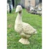 Goose EG032 (1)