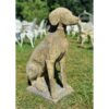 Hunting Dog EG001 (1)