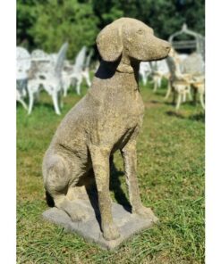 Hunting Dog EG001 (1)