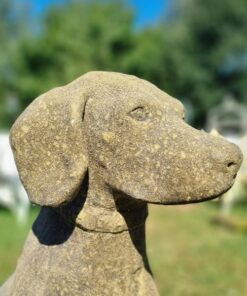 Hunting Dog EG001 (2)