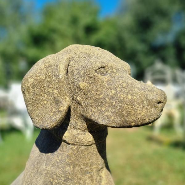 Hunting Dog EG001 (2)
