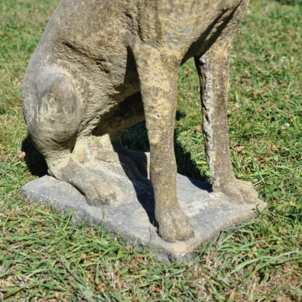 Hunting Dog EG001 (3)