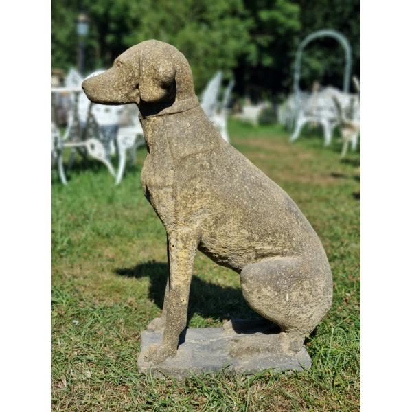 Hunting Dog EG001 (4)