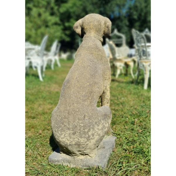 Hunting Dog EG001 (5)