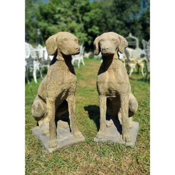 Hunting Dog EG001 (6)