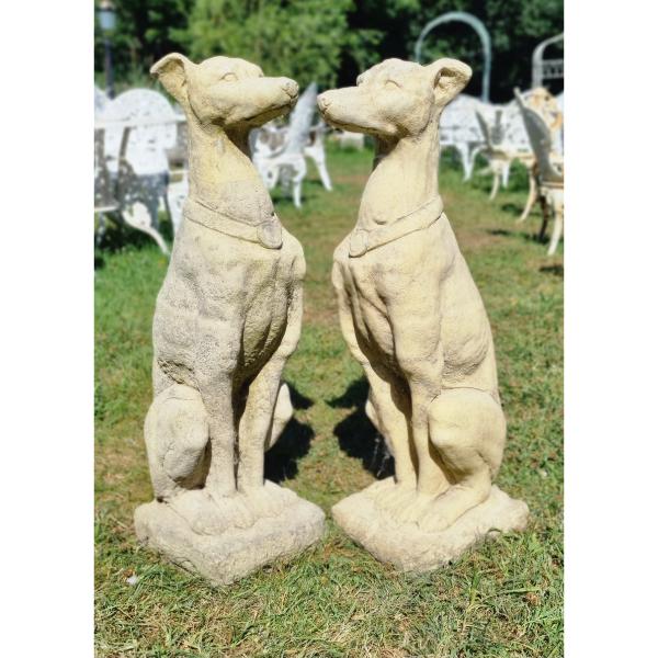 Italian Hound EG006 (7)