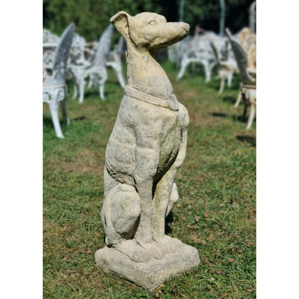 Italian Hounds EG006 (1)