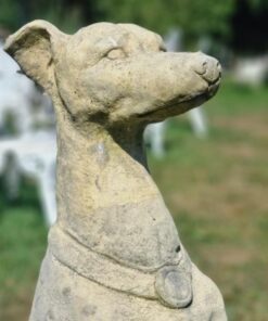 Italian Hounds EG006 (2)