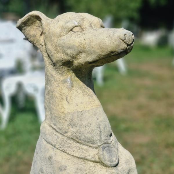Italian Hounds EG006 (2)