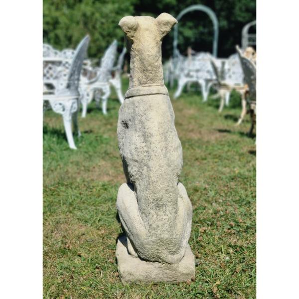 Italian Hounds EG006 (5)