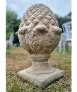Pineapple Pier Cap EG016 (3)