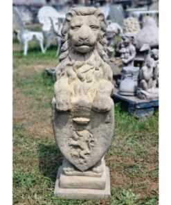 Wescott Lion EG023 (2)