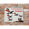 Guinness - Lovely Day - Birds - Medium