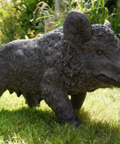 Pig - Boar