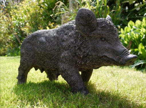 Pig - Boar