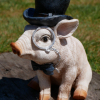 Pig - Monocle