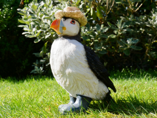 Puffin - in boots