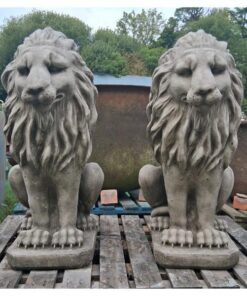 Pair of lions GL LA006 (3)