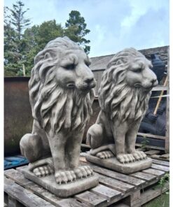 Pair of lions GL LA006 (5)