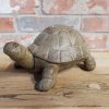 Turtle - Cast Iron