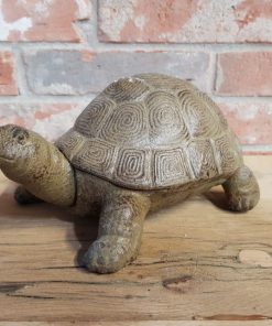 Turtle - Cast Iron