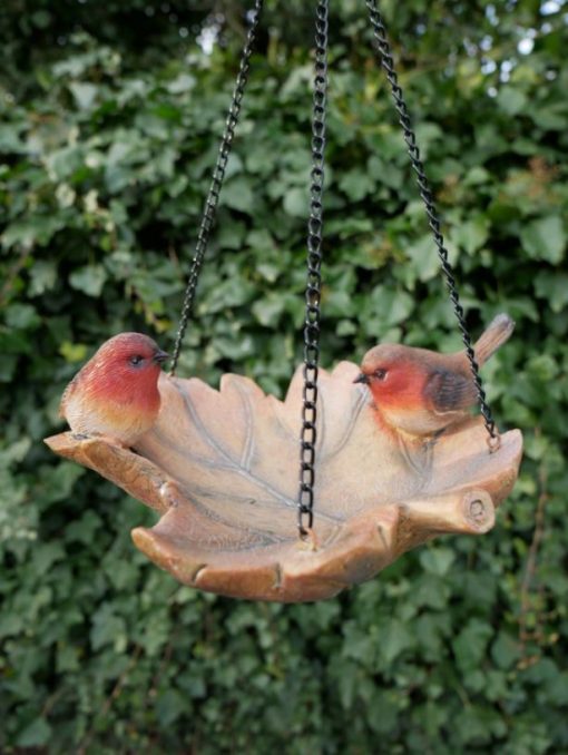 Bird Feeder - Selection