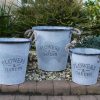 Buckets - Set of three - Flowers and Garden - Rope handle