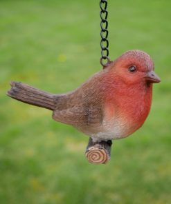 Hanging - Robin