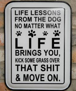 Life Lessons from Dogs