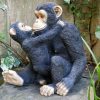 Monkey - with baby kissing