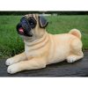 Dog - Laying - Small - Pug