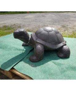 Turtle - Dark - Large