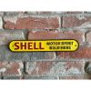 Shell - Long Narrow - Sold Here