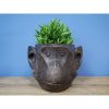 Planter - Monkey - Mouth Closed