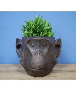 Planter - Monkey - Mouth Closed