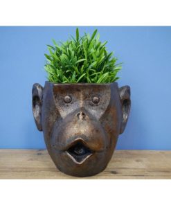 Planter - Monkey - Mouth Open