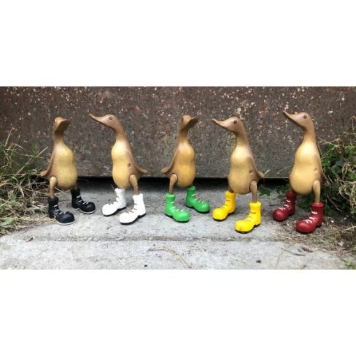 Duck Selection - 5x