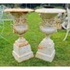 Pair of Urns on Pedestals H321 (5)