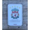 Liverpool - Metal - Small - White