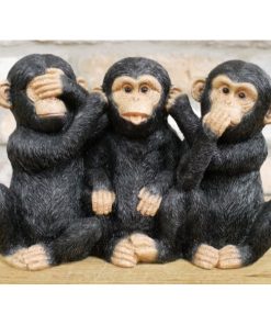 Three Monkeys - Hear See Speak - D8996b