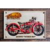 Indian Scout 101 - HS436