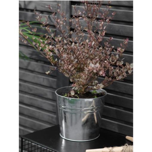 Winson Plant Pot 20.5cm Galvanised Steel - GT - 34a