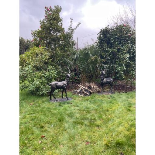 Cast Iron Pair of Stags