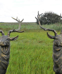 Pair of Standing Stags - D7223a