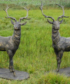 Pair of Standing Stags - D7223c