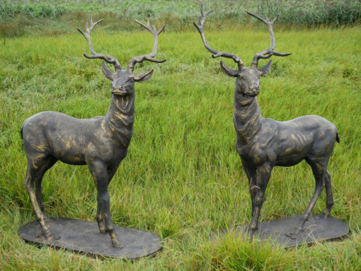 Pair of Standing Stags - D7223c