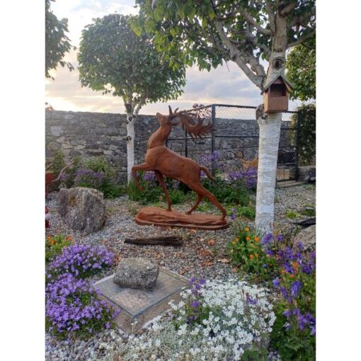 Rusty Stag D8887 (3)