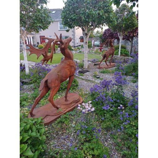 Rusty Stag D8887 (4)